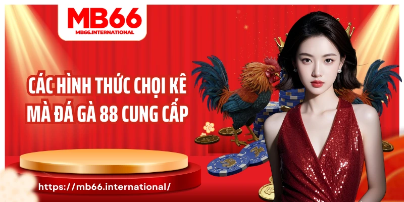 Các hình thức chọi kê mà đá gà 88 cung cấp
