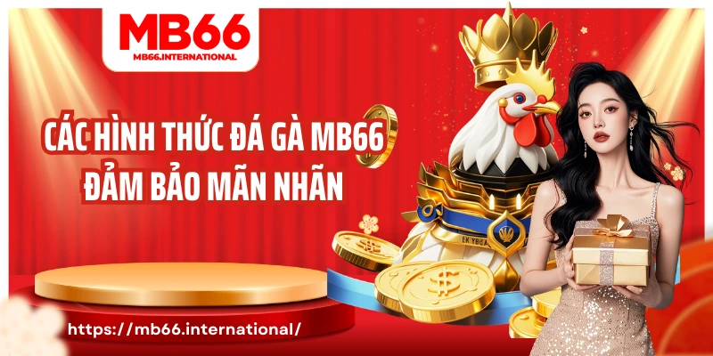 Các hình thức đá gà MB66 đảm bảo mãn nhãn