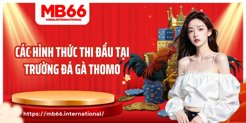 Các hình thức thi đấu tại trường đá gà Thomo