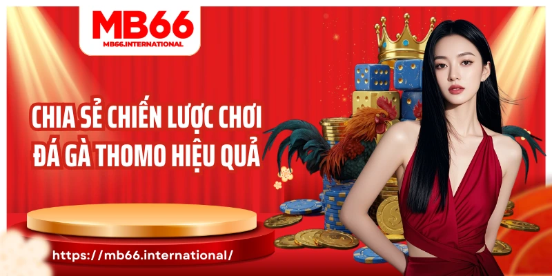 Chia sẻ chiến lược chơi đá gà Thomo hiệu quả