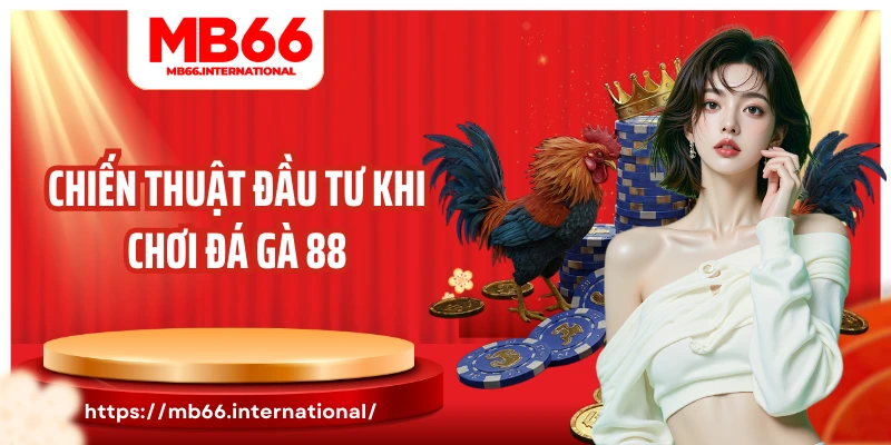 Chiến thuật đầu tư khi chơi đá gà 88