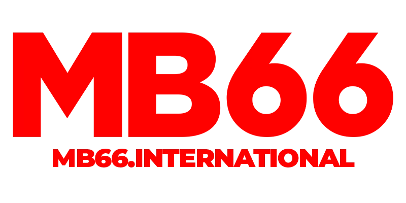 mb66international