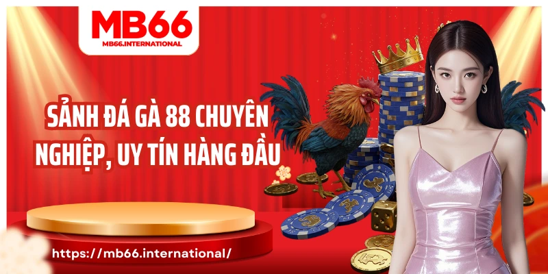 Sảnh đá gà 88 chuyên nghiệp, uy tín hàng đầu