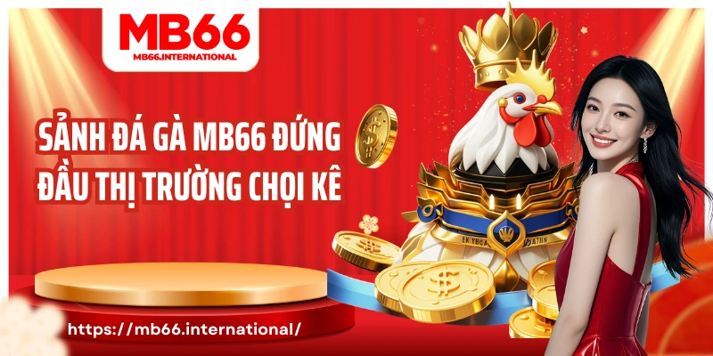 Sảnh đá gà MB66 đứng đầu thị trường chọi kê