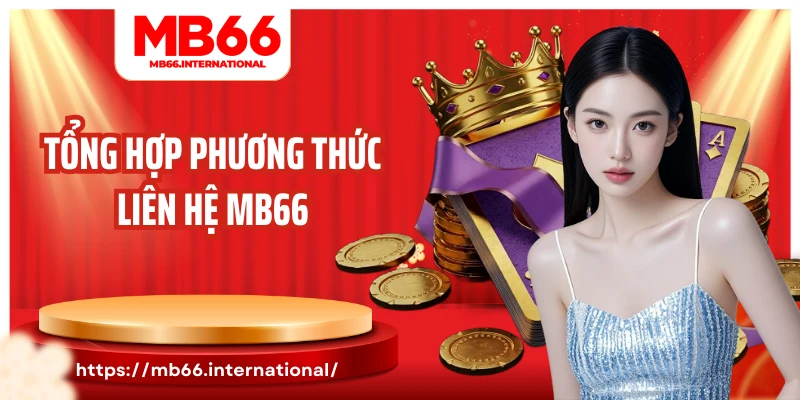 Tổng hợp phương thức liên hệ MB66